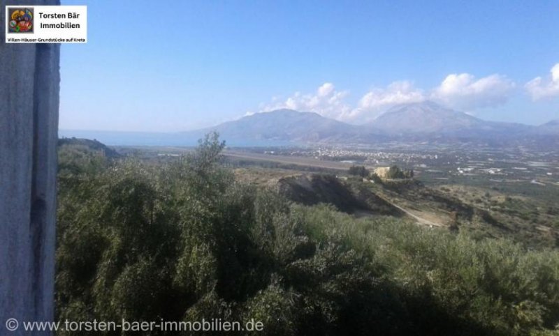 Vori Kreta, Vori Olivenhain 200.000m² mit 2 Gebäuden zu verkaufen Grundstück kaufen
